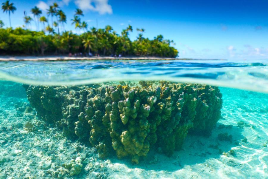 Avec Poe charter, c’est facile